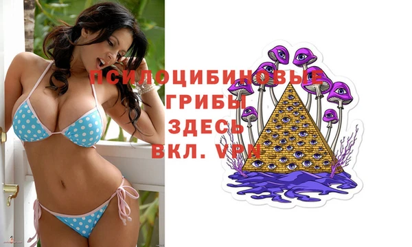 амф Абинск