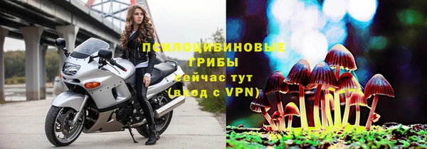 эйфоретик Магадан