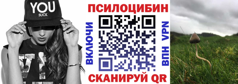 Псилоцибиновые грибы ЛСД  купить наркоту  площадка официальный сайт  Керчь 